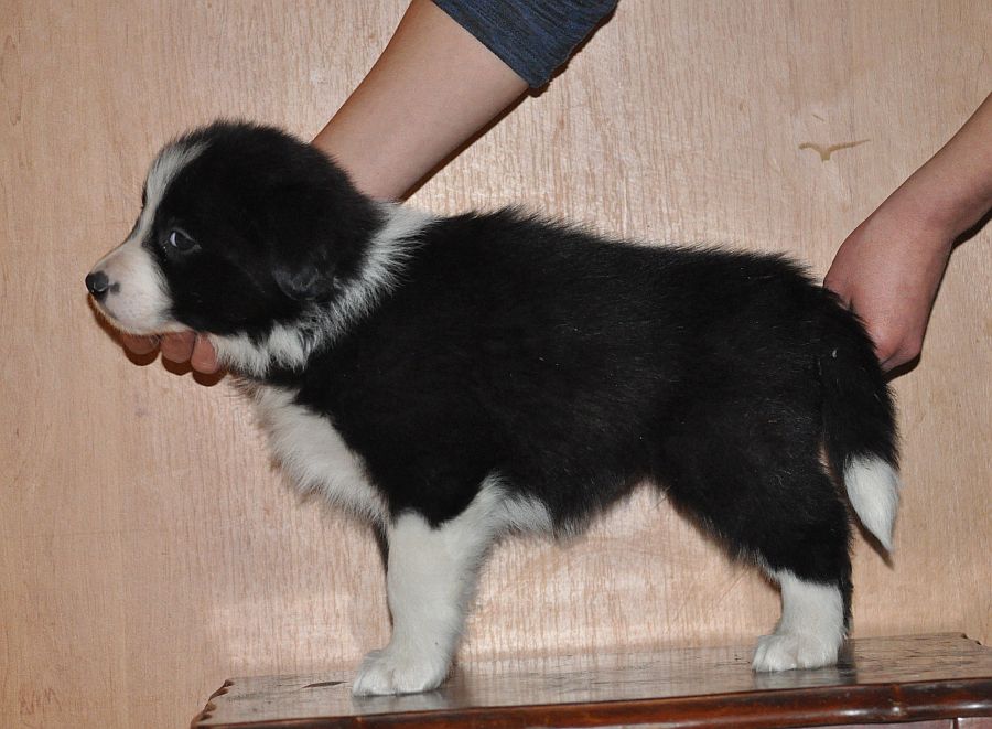 Yukon