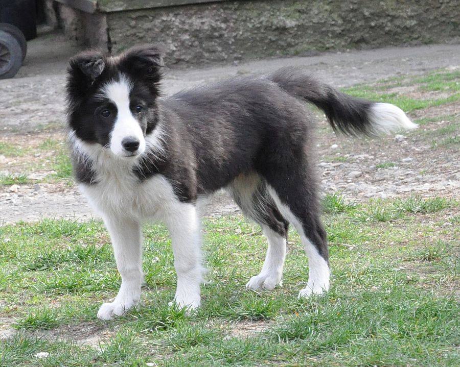Yuki